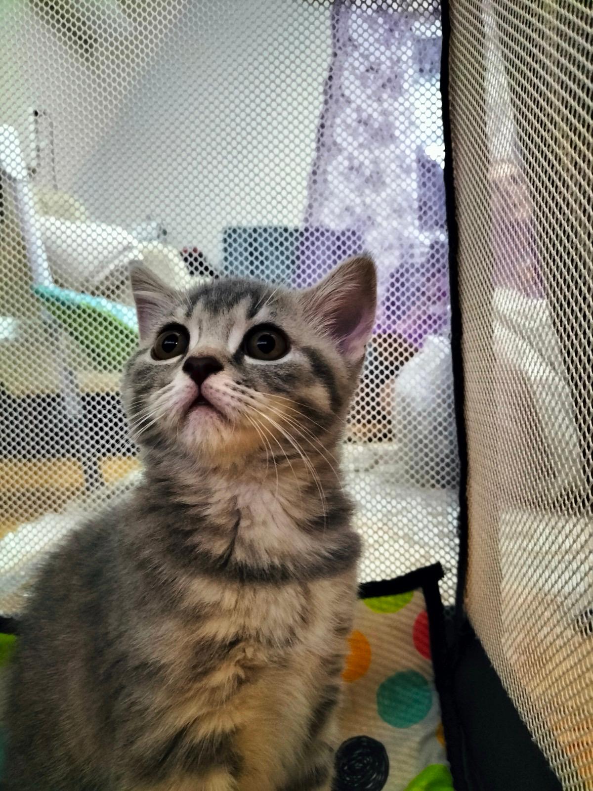 WhatsApp Image 2026-01-02 at 23.25.23