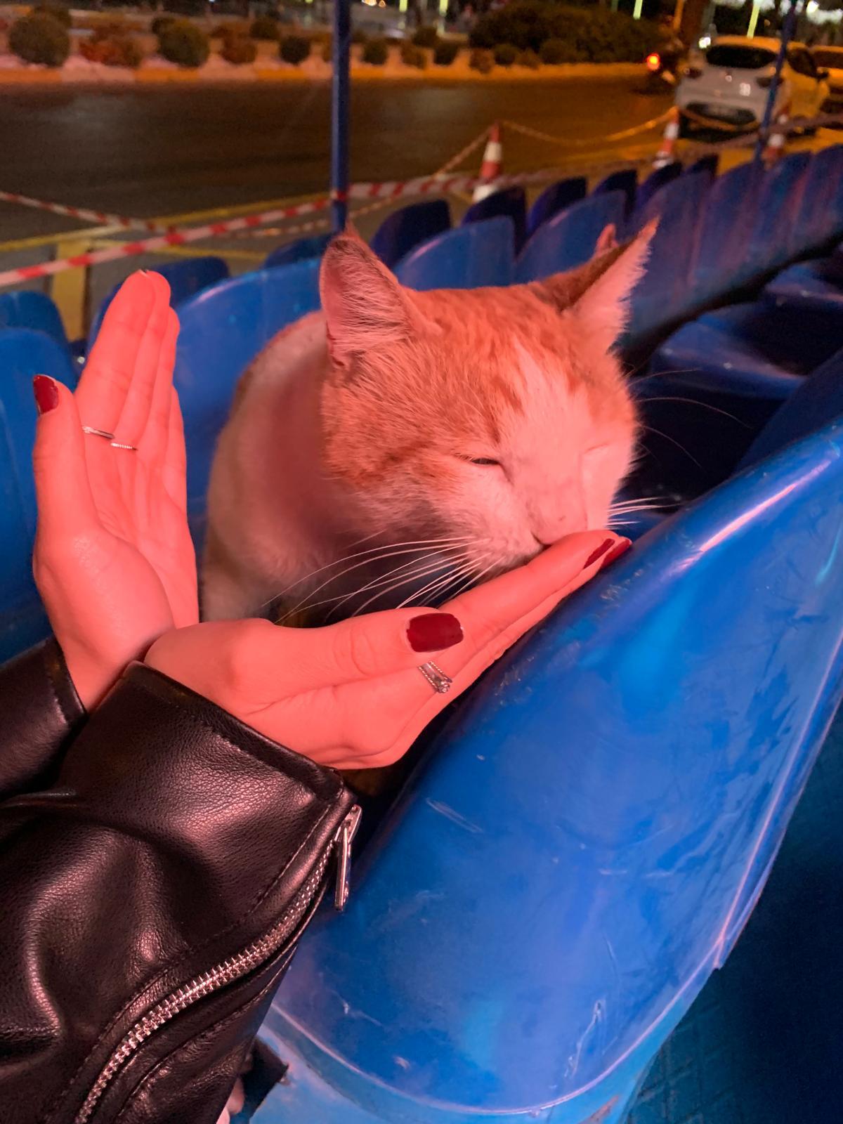 WhatsApp Image 2026-01-02 at 23.25.24