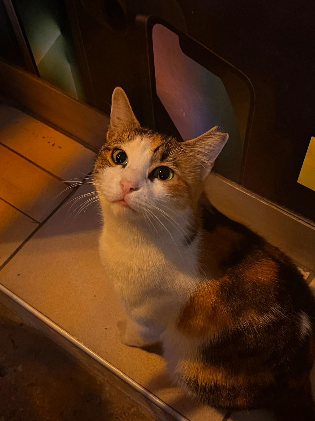 WhatsApp Image 2026-01-02 at 23.25.52