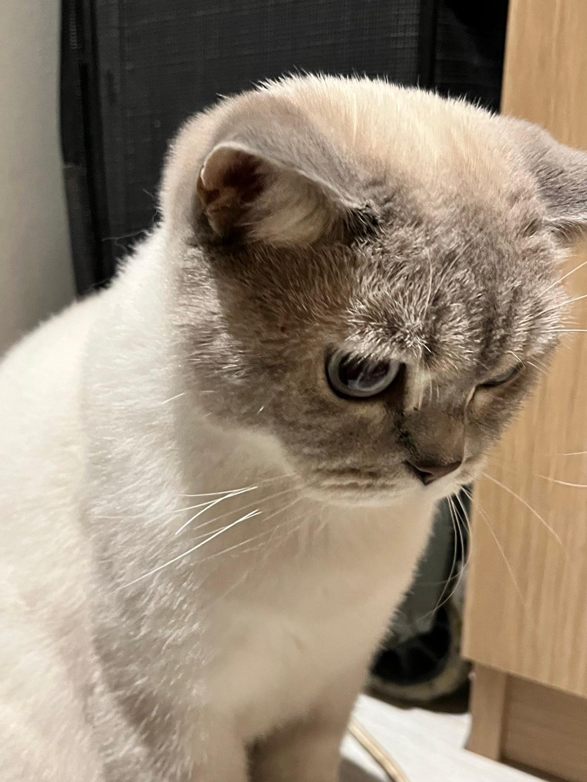 WhatsApp Image 2026-01-02 at 23.26.14