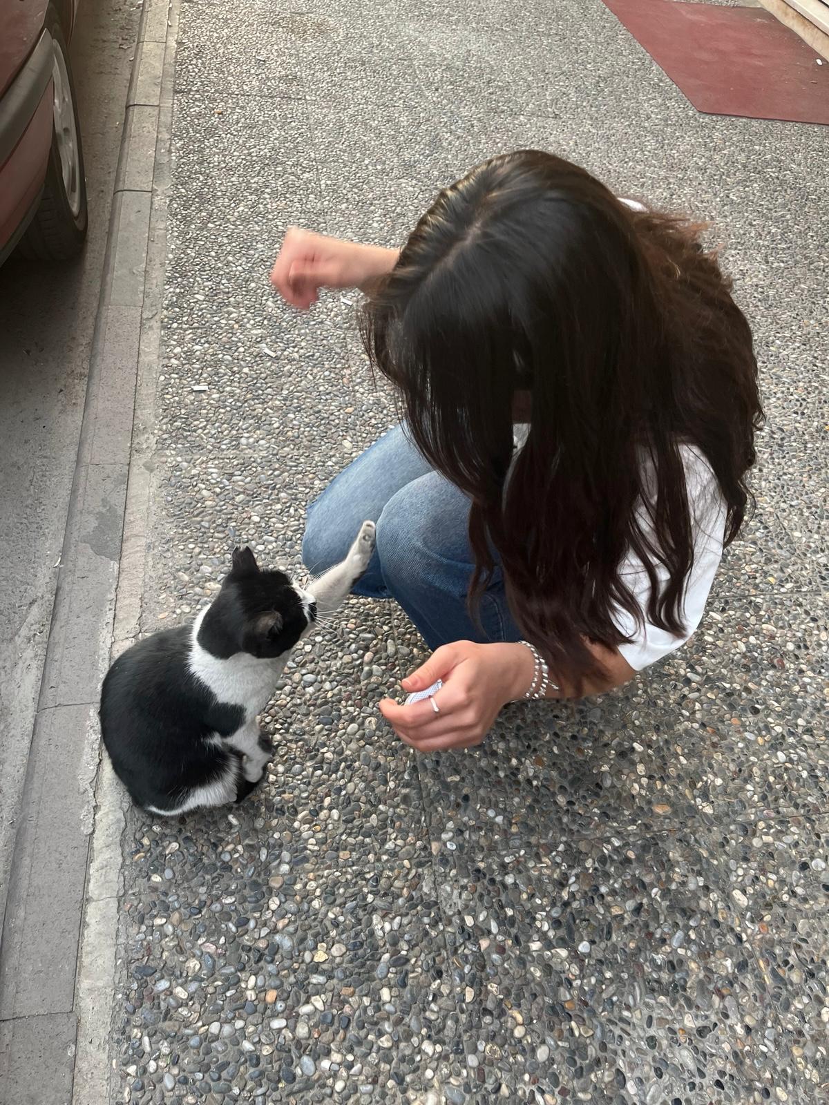 WhatsApp Image 2026-01-02 at 23.26.42